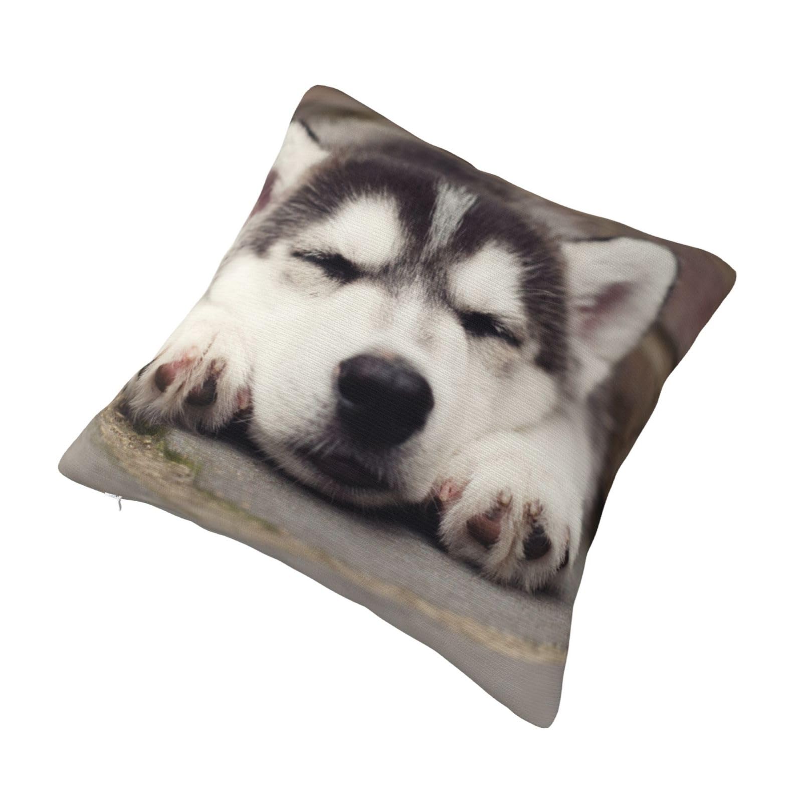 Needlepointシベリアンハスキー　クッションカバー Amazon.co.jp: ハスキー 犬柄 クッションカバー 66x66cm 抱き枕カバー